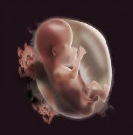 نقص های مادرزادی – عفونت های مادرزادی