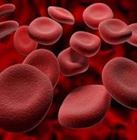  کم خونی اپلاستیک چگونه درمان می‌شود ؟